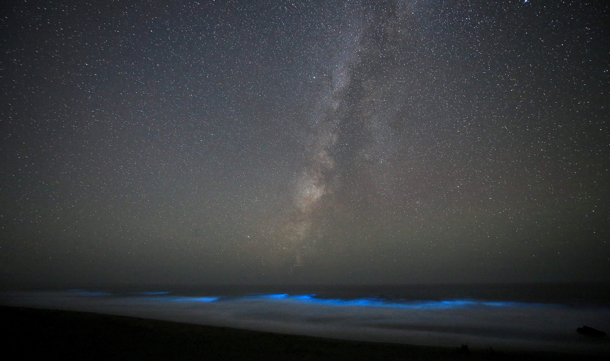 bioluminescence at Salmon Creek Creek State Beach north of Bodega Bay on the Sonoma Coast