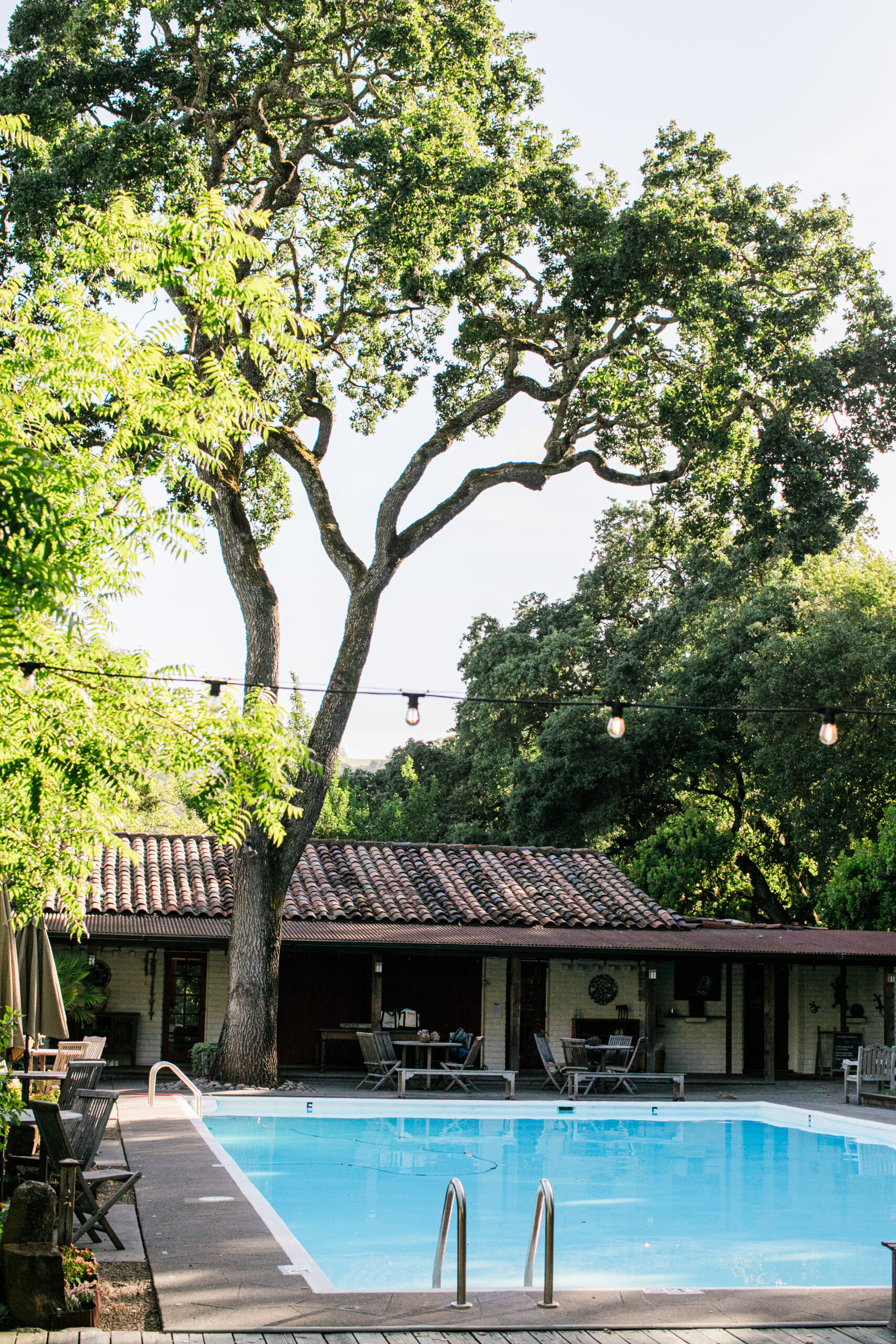 The pool at Westerbeke Ranch for guests to enjoy. (Eileen Roche)