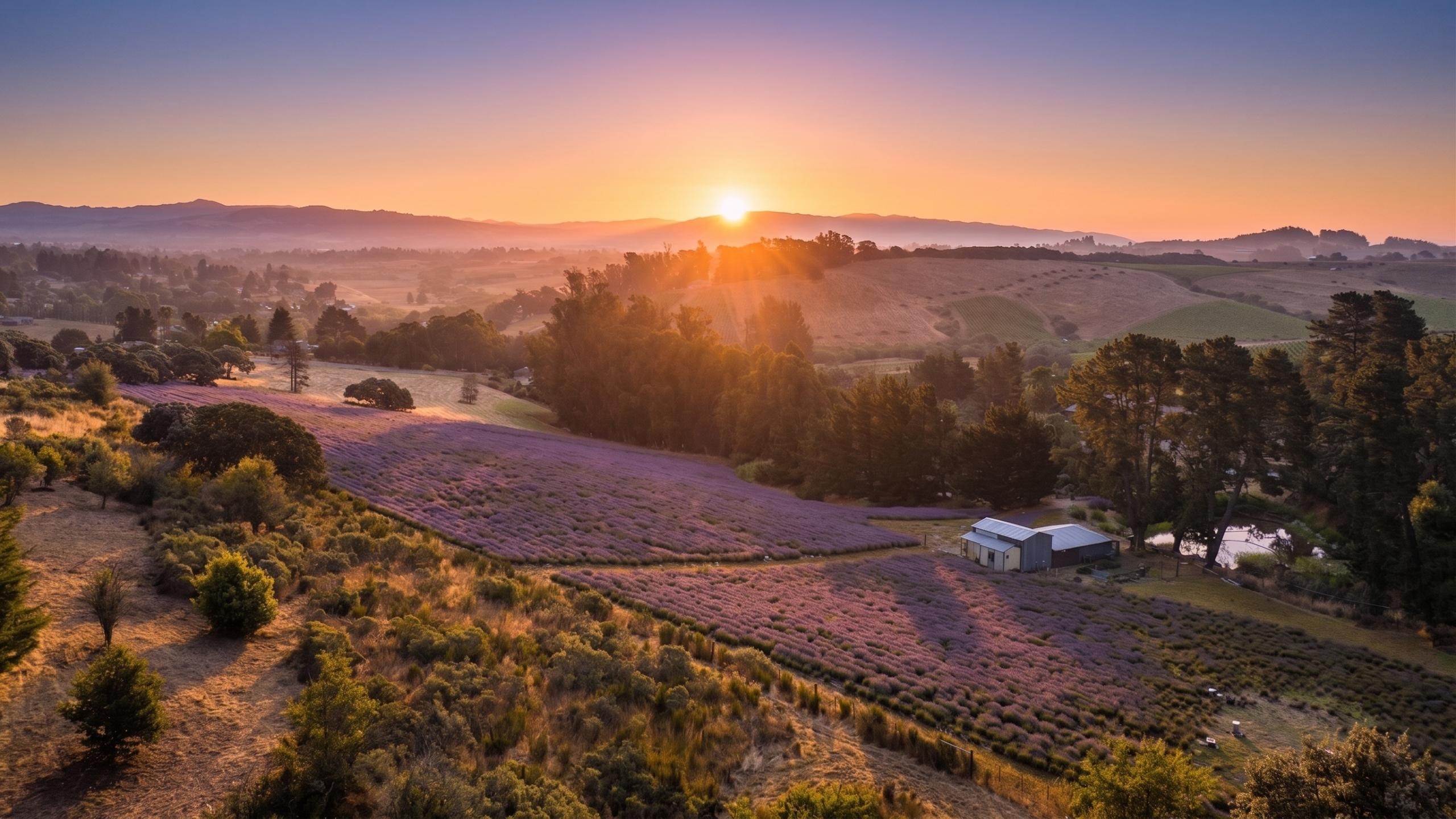 Fields and farm store at Monte-Bellaria estate