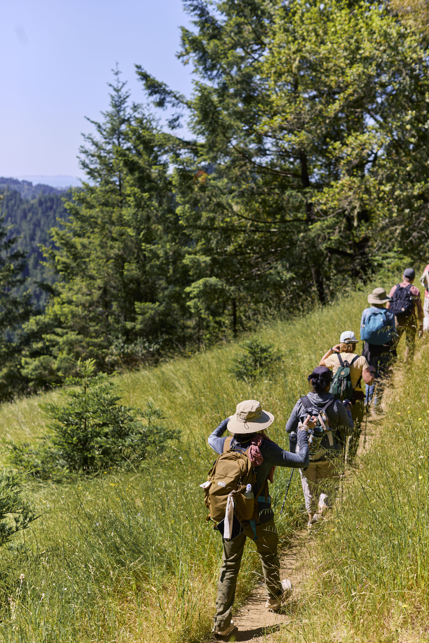 People hiking the Camino de Sonoma