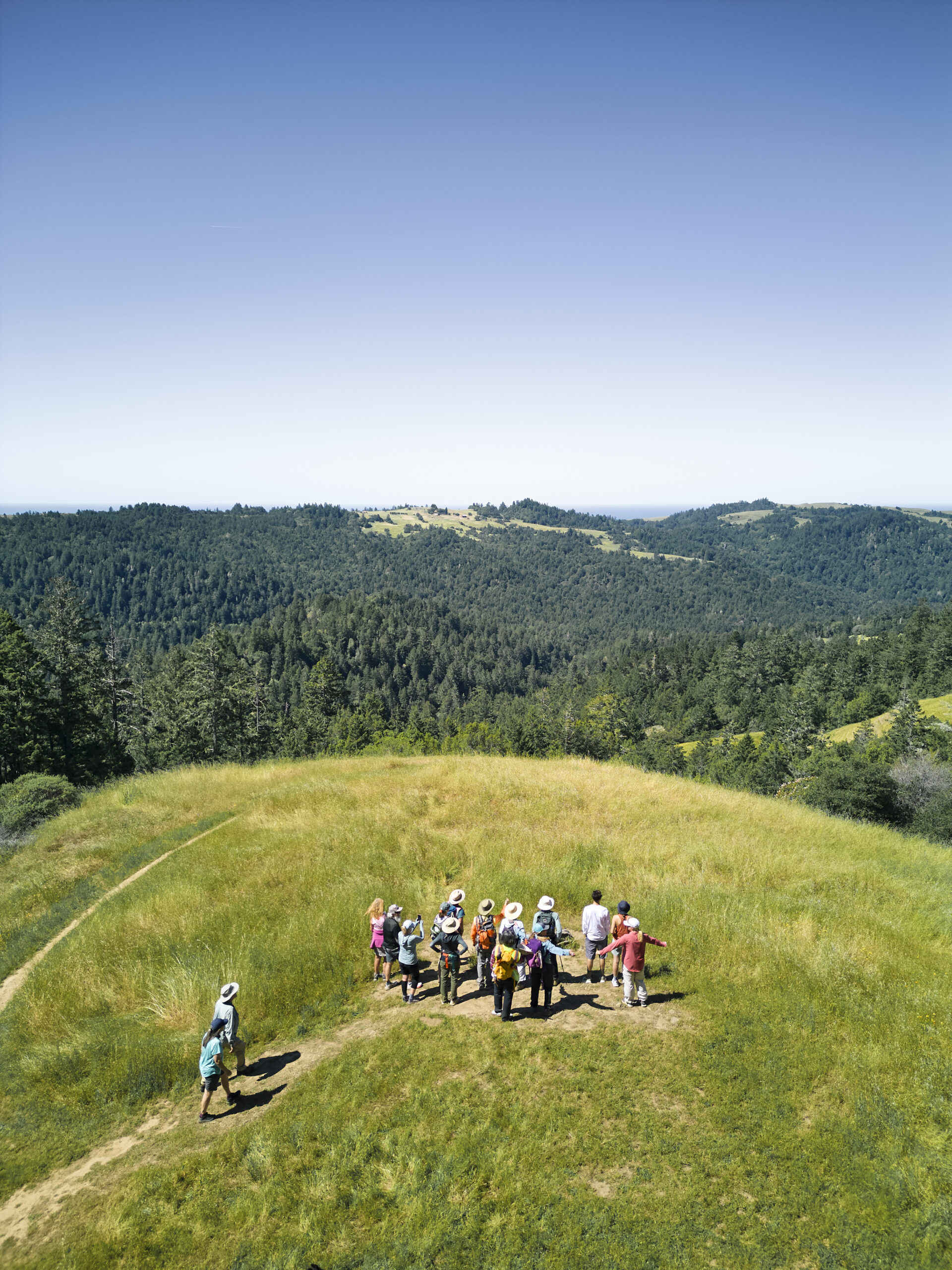Camino de Sonoma