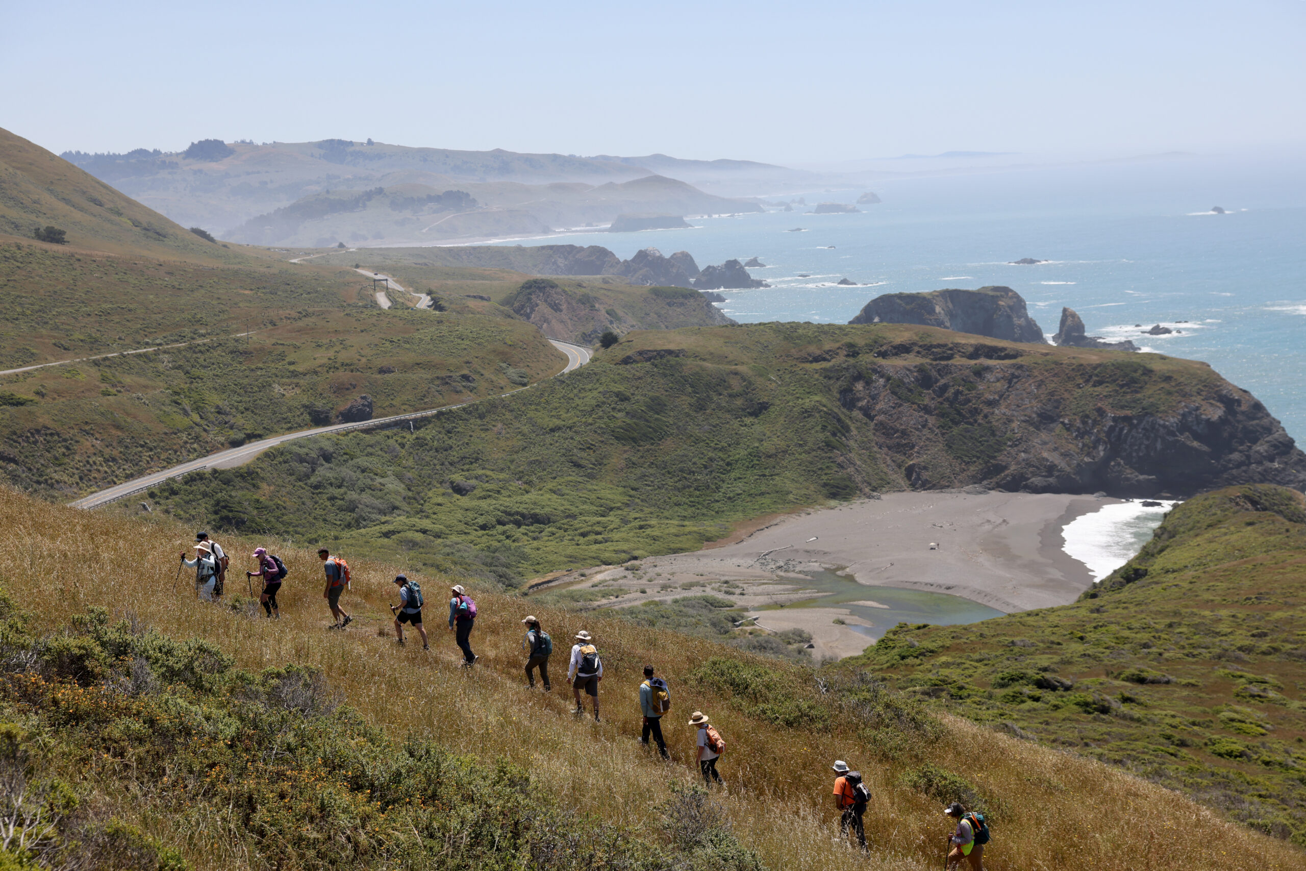 Camino de Sonoma