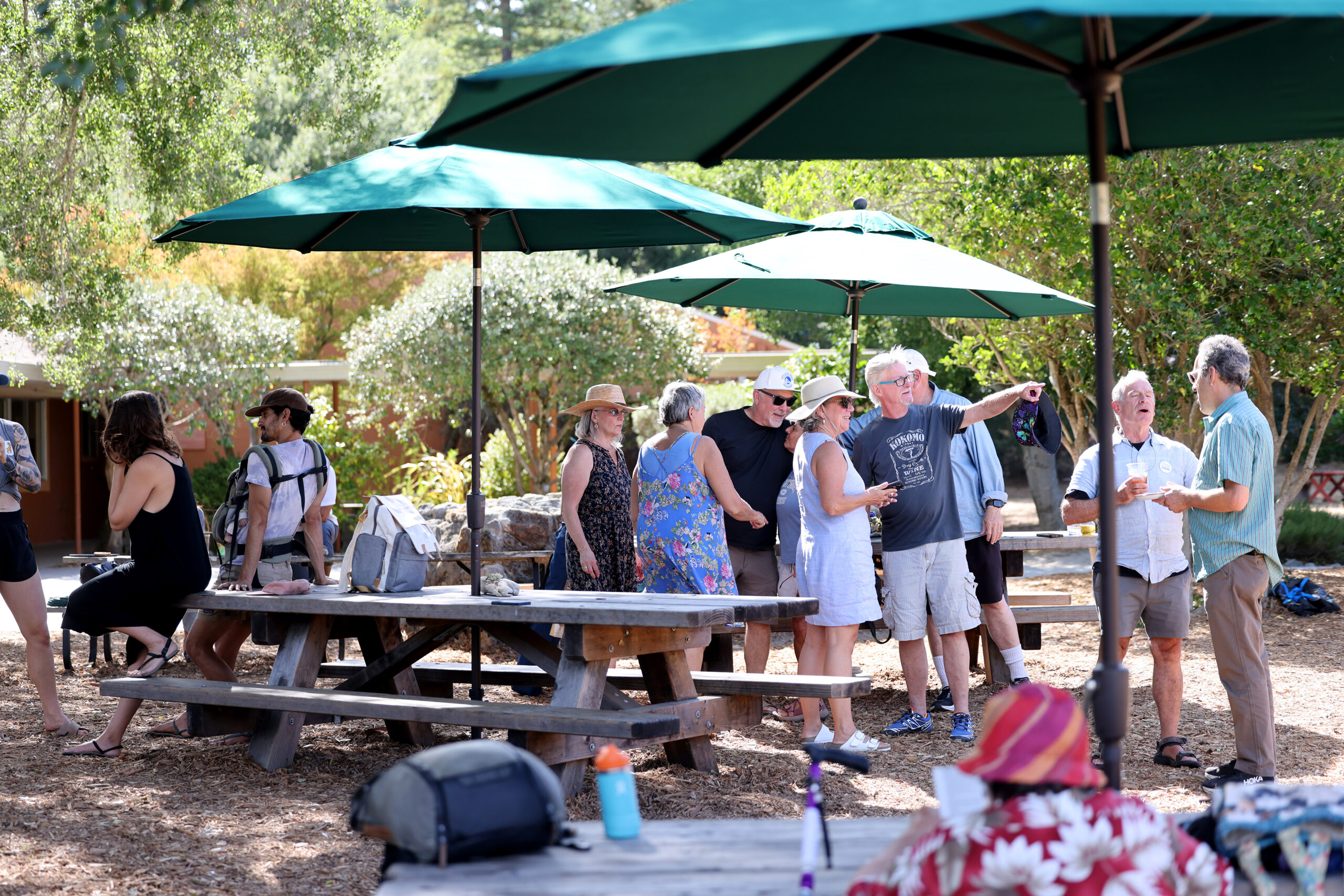People gather at Wylde Provisions Co. playground and cafe in Sebastopol 