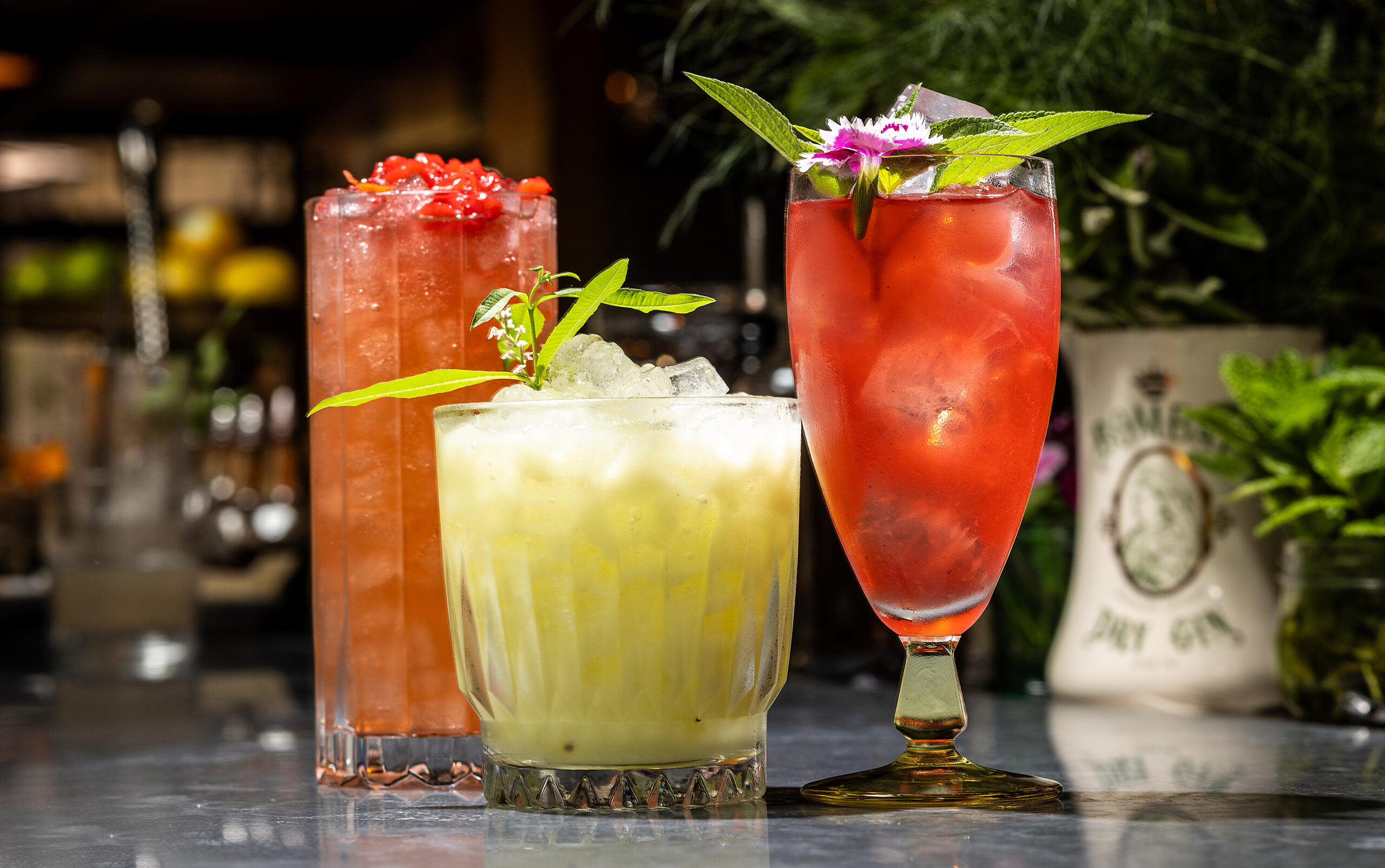 From left, the K-Pop, Misspent Youth and Petals & Gunpowder signature cocktails from the bar at Lo & Behold Monday, Aug. 3, 2026 in Healdsburg. (John Burgess/The Press Democrat)
