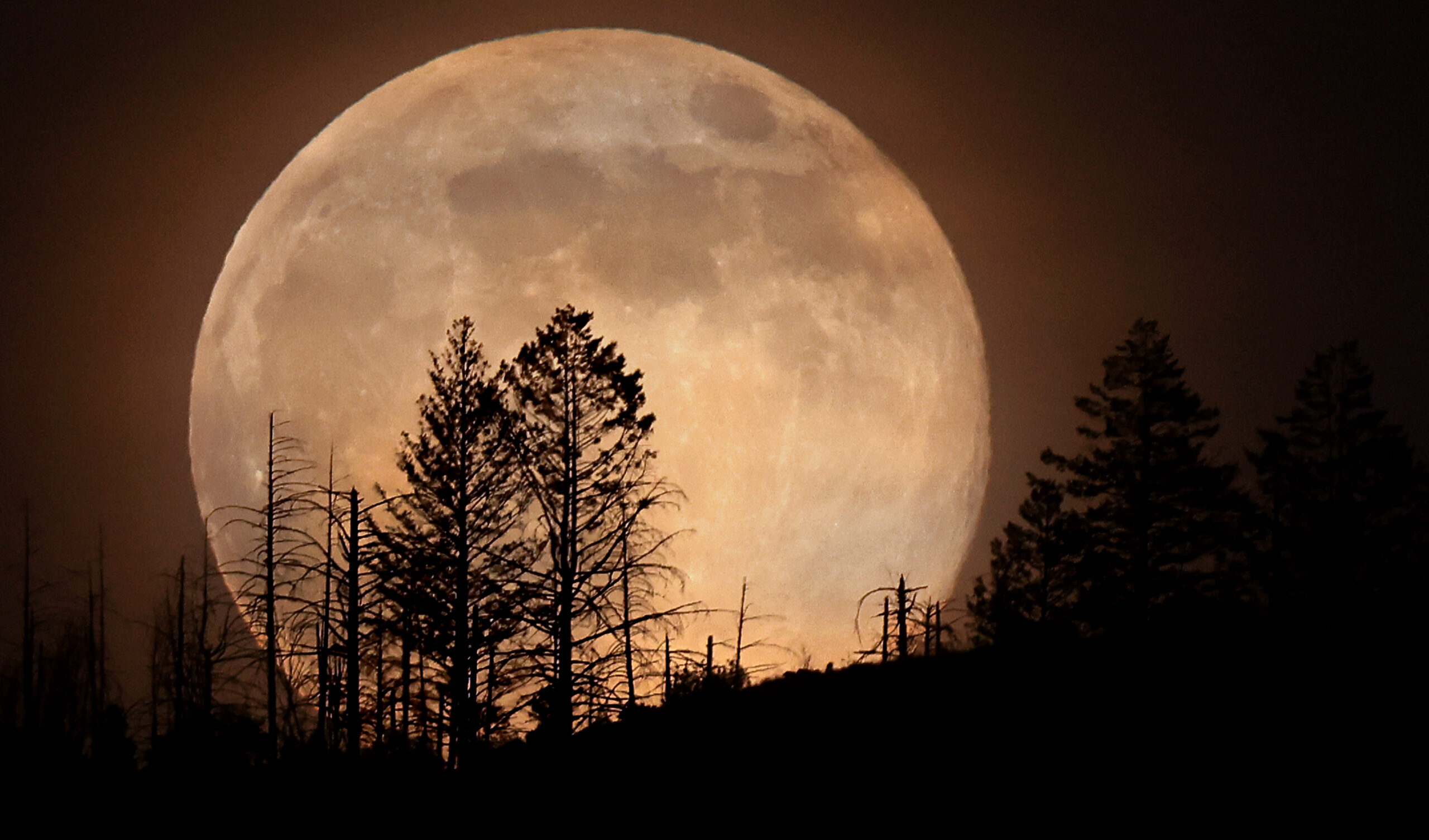 Cold Moon at night