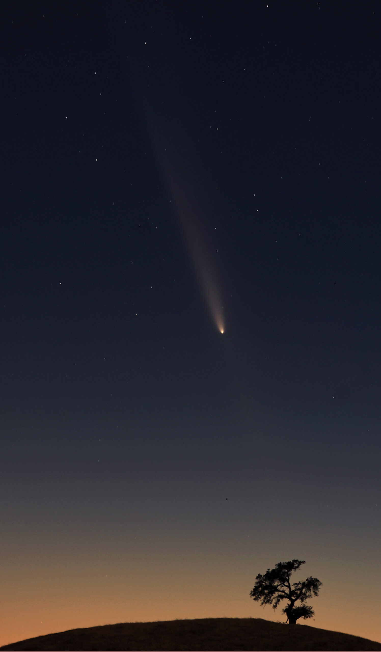 Night sky with comet